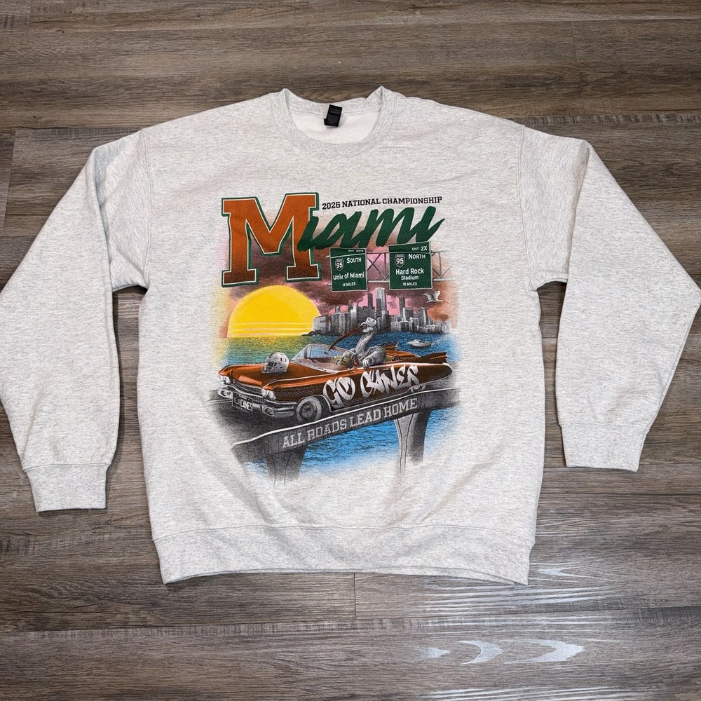 Miami Hurricanes Pullover Sweatshirt Mens Large Gray Long Sleeve Graphic Print